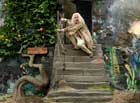 Harry Potter and the Deathly Hallows: Part I - 8 x 10 Color Photo #16