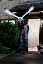 Harry Potter and the Deathly Hallows: Part I - 8 x 10 Color Photo #18
