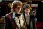 Harry Potter and the Goblet of Fire - 8 x 10 Color Photo #2