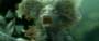 Harry Potter and the Goblet of Fire - 8 x 10 Color Photo #41