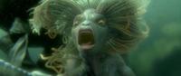 Harry Potter and the Goblet of Fire - 8 x 10 Color Photo #41