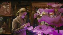 Harry Potter and the Half-Blood Prince - 8 x 10 Color Photo #11