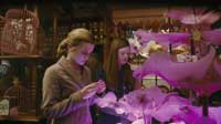 Harry Potter and the Half-Blood Prince - 8 x 10 Color Photo #11