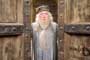 Harry Potter and the Order of the Phoenix - 8 x 10 Color Photo #38