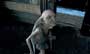 Harry Potter and the Order of the Phoenix - 8 x 10 Color Photo #47