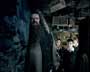 Harry Potter and the Order of the Phoenix - 8 x 10 Color Photo #48