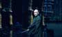 Harry Potter and the Order of the Phoenix - 8 x 10 Color Photo #51