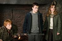 Harry Potter and the Order of the Phoenix - 8 x 10 Color Photo #5