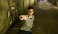 Harry Potter and the Order of the Phoenix - 8 x 10 Color Photo #1