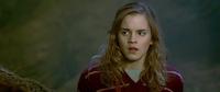 Harry Potter and the Order of the Phoenix - 8 x 10 Color Photo #14