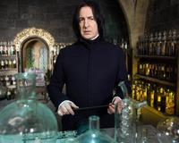 Harry Potter and the Order of the Phoenix - 8 x 10 Color Photo #31