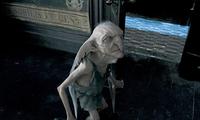 Harry Potter and the Order of the Phoenix - 8 x 10 Color Photo #47