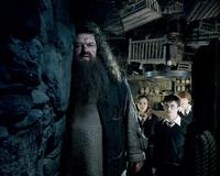 Harry Potter and the Order of the Phoenix - 8 x 10 Color Photo #48