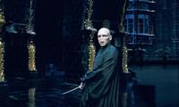 Harry Potter and the Order of the Phoenix - 8 x 10 Color Photo #51