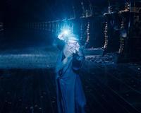 Harry Potter and the Order of the Phoenix - 8 x 10 Color Photo #52