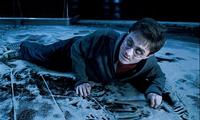 Harry Potter and the Order of the Phoenix - 8 x 10 Color Photo #53