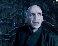 Harry Potter and the Order of the Phoenix - 8 x 10 Color Photo #54