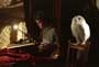 Harry Potter and the Prisoner of Azkaban - 8 x 10 Color Photo #20