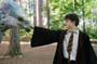 Harry Potter and the Prisoner of Azkaban - 8 x 10 Color Photo #25