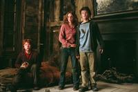 Harry Potter and the Prisoner of Azkaban - 8 x 10 Color Photo #21