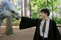 Harry Potter and the Prisoner of Azkaban - 8 x 10 Color Photo #25