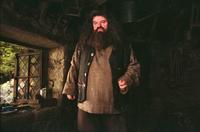 Harry Potter and the Prisoner of Azkaban - 8 x 10 Color Photo #28