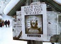 Harry Potter and the Prisoner of Azkaban - 8 x 10 Color Photo #40