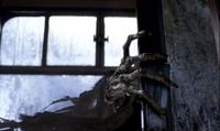Harry Potter and the Prisoner of Azkaban - 8 x 10 Color Photo #43
