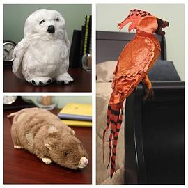 Harry Potter and the Sorcerer's Stone - Pet Plush Set