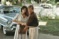 Havana - 8 x 10 Color Photo #6