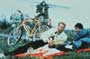 Hawks - 8 x 10 Color Photo #4