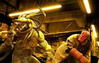 Hellboy - 8 x 10 Color Photo #7