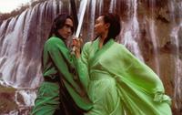 Hero - 8 x 10 Color Photo #7