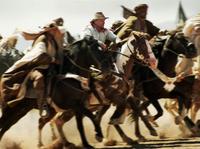 Hidalgo - 8 x 10 Color Photo #7