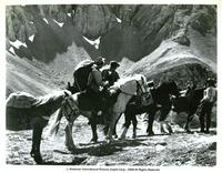 High, Wild and Free - 8 x 10 B&W Photo #15