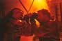 Highlander 3: The Final Dimension - 8 x 10 Color Photo #12