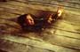 The Hollow Man - 8 x 10 Color Photo #7