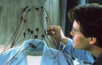 The Hollow Man - 8 x 10 Color Photo #1