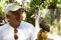 Hoot - 8 x 10 Color Photo #29