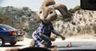 Hop - 8 x 10 Color Photo #2