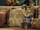 Hop - 8 x 10 Color Photo #15
