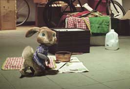 Hop - 8 x 10 Color Photo #13