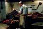 Hostel - 8 x 10 Color Photo #5