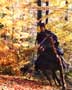 House of Flying Daggers - 8 x 10 Color Photo #1
