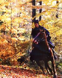 House of Flying Daggers - 8 x 10 Color Photo #1