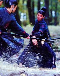 House of Flying Daggers - 8 x 10 Color Photo #22