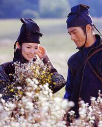 House of Flying Daggers - 8 x 10 Color Photo #24