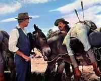 How the West Was Won - 8 x 10 Color Photo #3