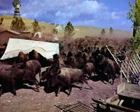 How the West Was Won - 8 x 10 Color Photo #7