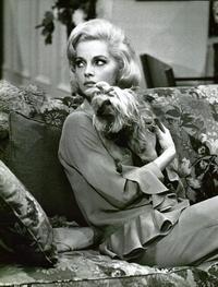 How to Murder Your Wife - 8 x 10 B&W Photo #32